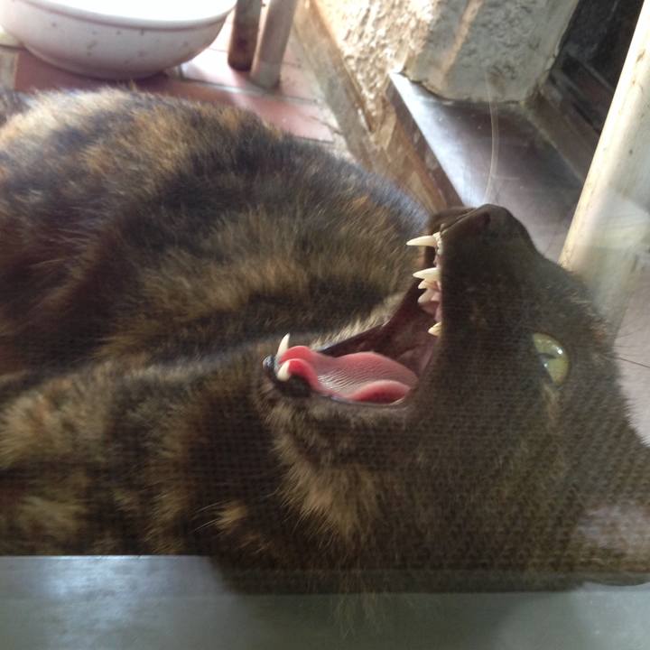 3870ac70 937c 4dcf a02d ac7e414f68de