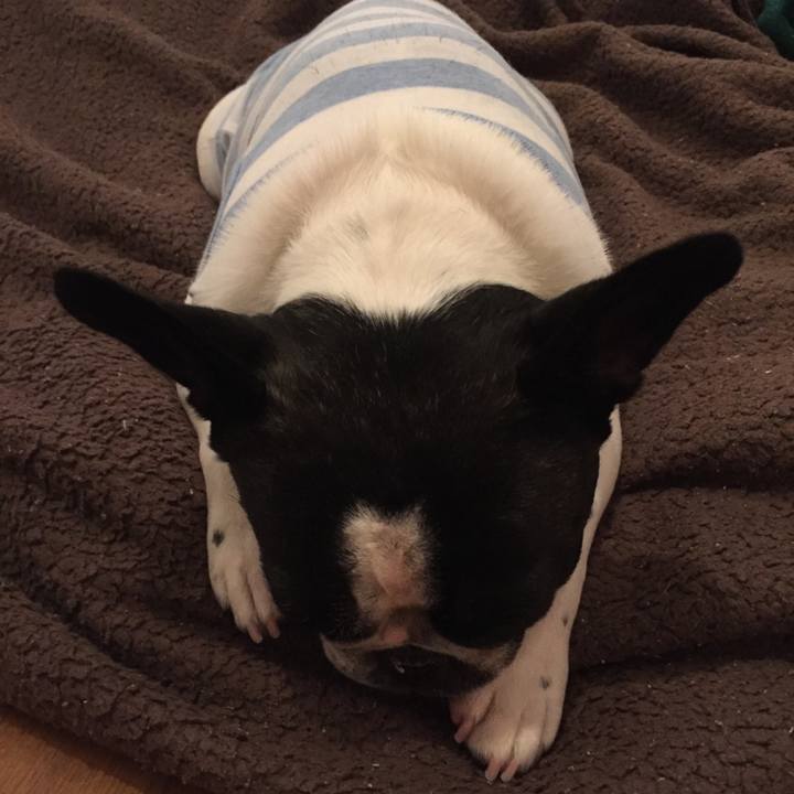 3870d480 4eff 4cfe 8a38 c4bb7bf592d7