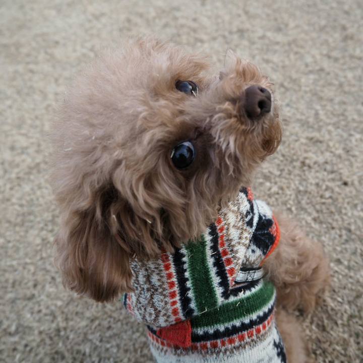 3870db86 f4bf 4ddd a950 eca846f1b3dc