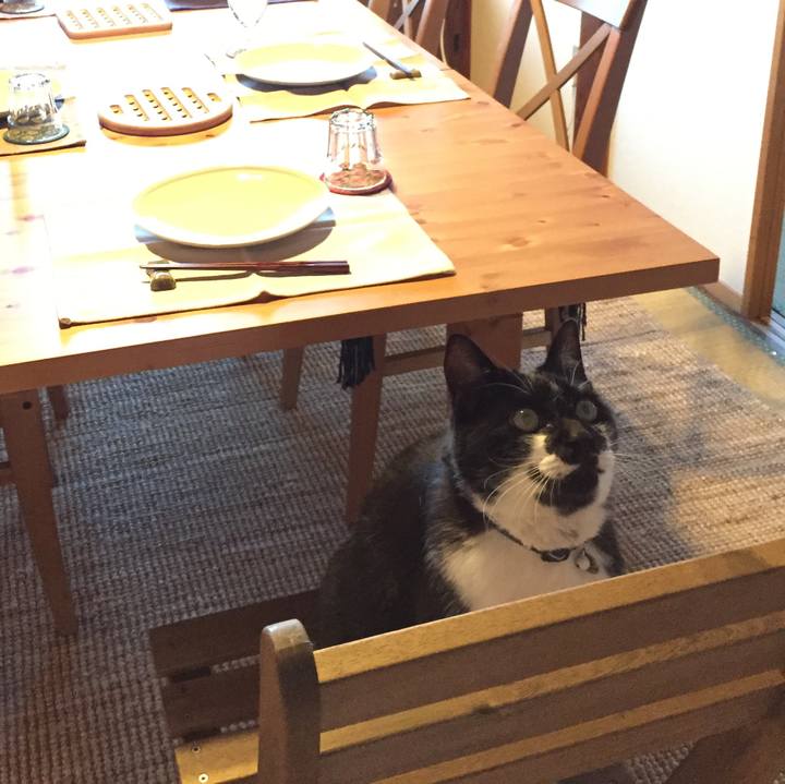 3870f5b9 c706 4ed6 9cf0 231218e27e55