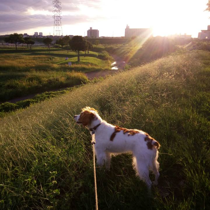 38711d67 d506 41d6 8b06 c70b492a0ad9