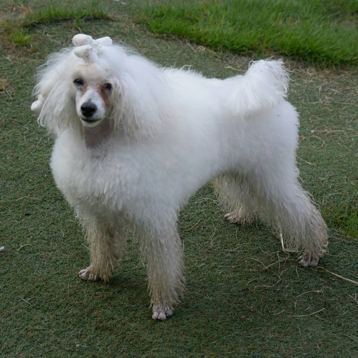 3871593d 8cdd 474b 979b 35695dd2cdc4