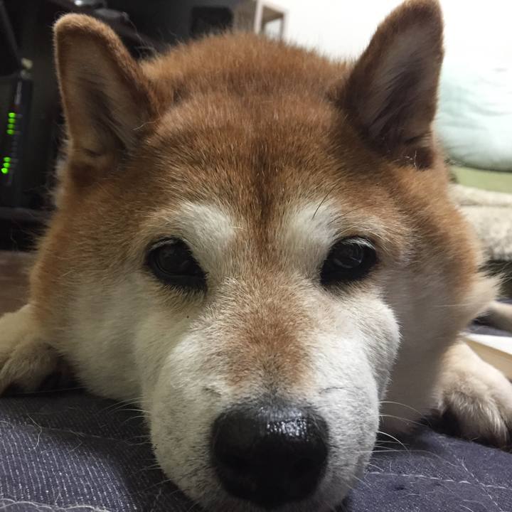 38716752 bb6b 4e22 af6a 7572c4fb0b67