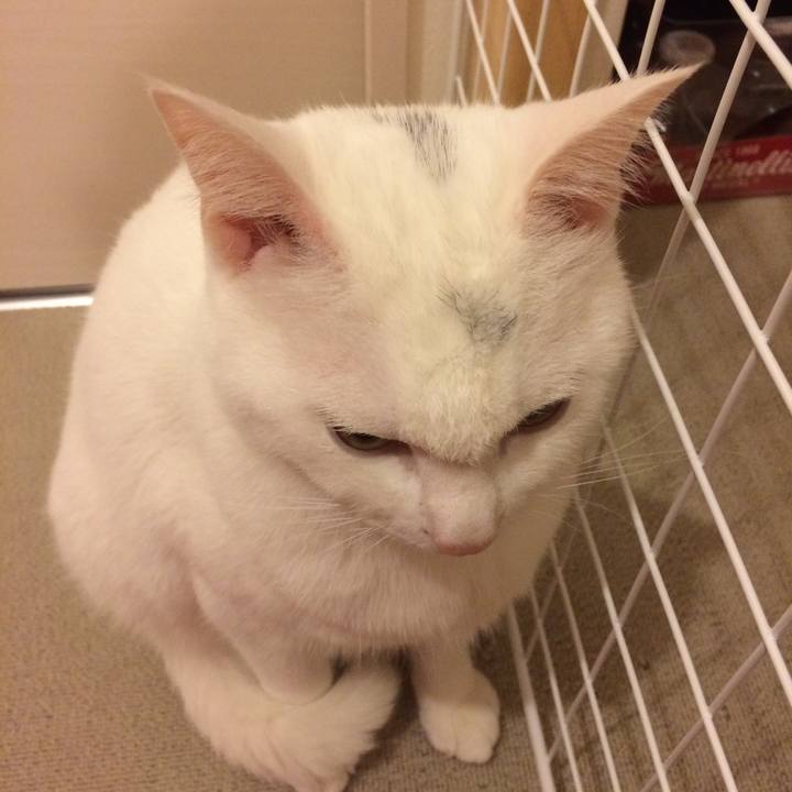 387182ef e7f5 4111 b17c ee6358023dc5