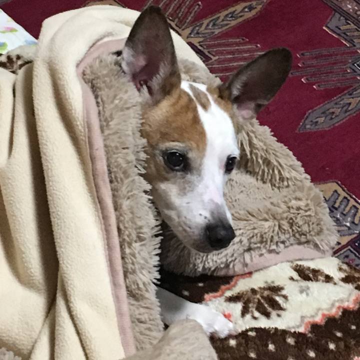 3871937d 7d7e 416d ac05 44575656ebce