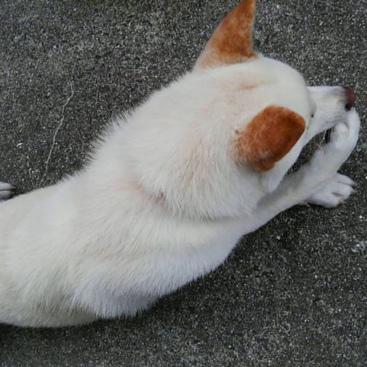 3871b681 2faa 4c69 a8c7 ace62cf58b22