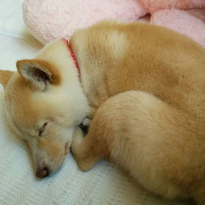 3871c40b 3c18 4a03 940d b445e93acc4a