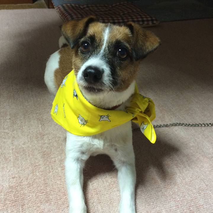 38727c32 f461 460e acd1 3d452b0e0853