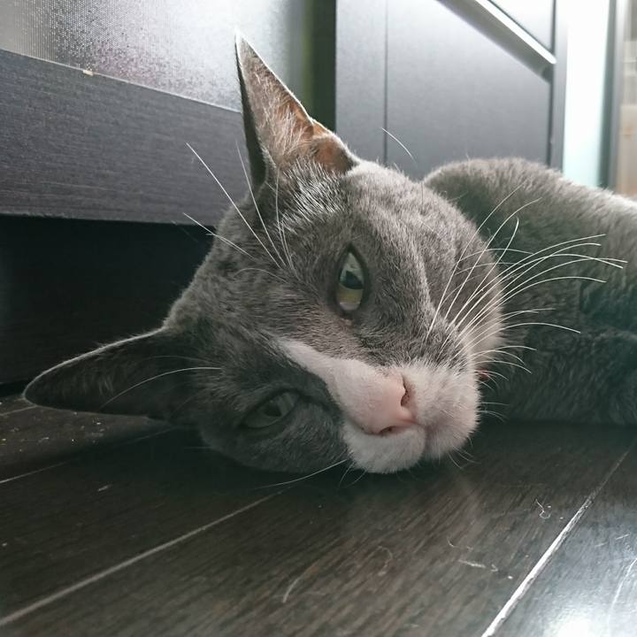 3872a0a9 ae8c 4c01 870f adf5ba9ebdff