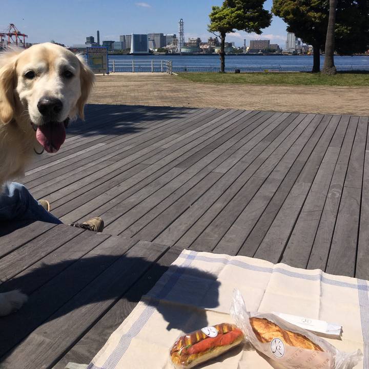 387309a0 6f4b 424b 8d6c 4c7f12a38e28