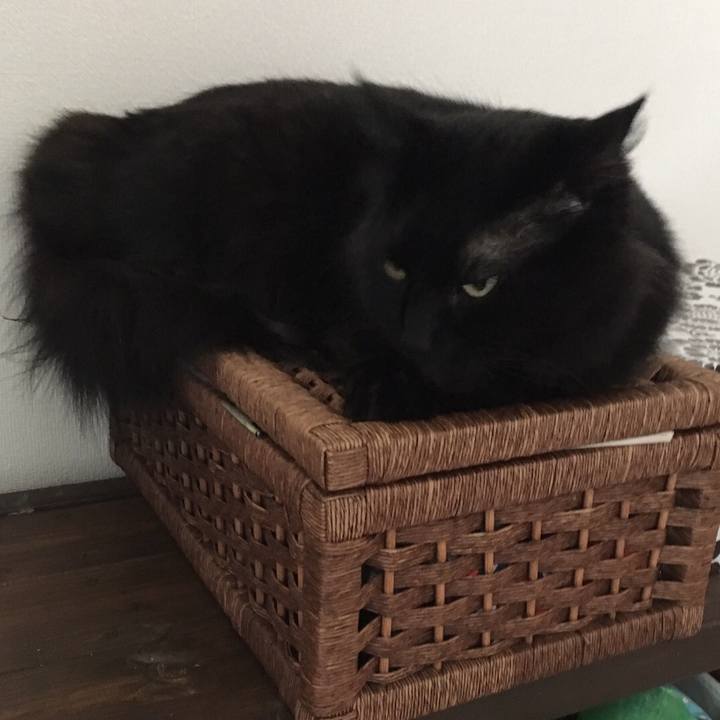 38733bf3 d875 439a 8d67 ebedc0bd5fb7