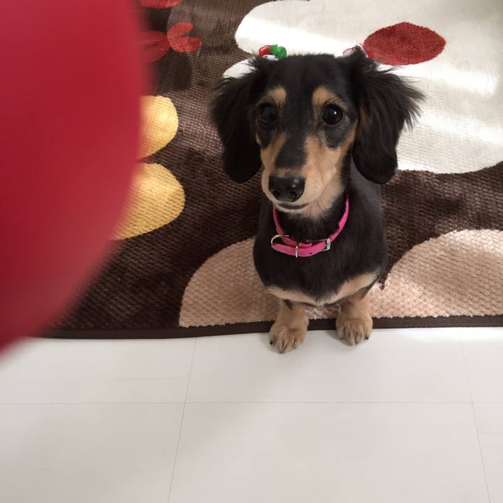 3873b46d ab84 4266 8bdb 9a83a32d1943