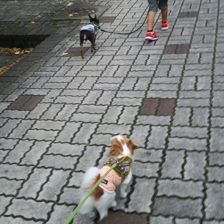 3873c26c f686 42cc b39e ef72a10ec26b