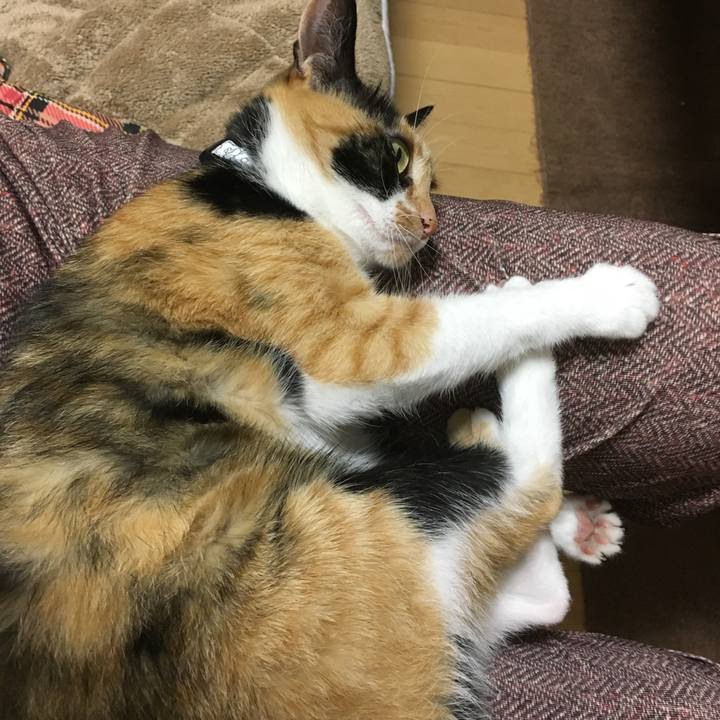 38747d17 ecbf 4c27 a1d8 996ff522daa3