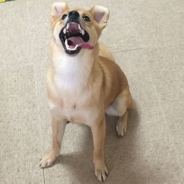 38748fc0 e573 4824 a33e ec50c37326af