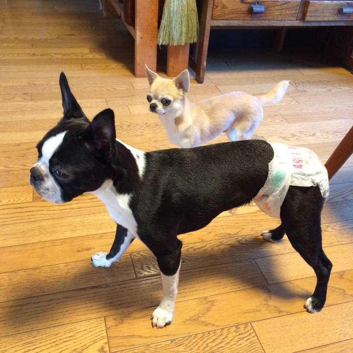 38752dce 0a94 472a 9359 092dacfa9886