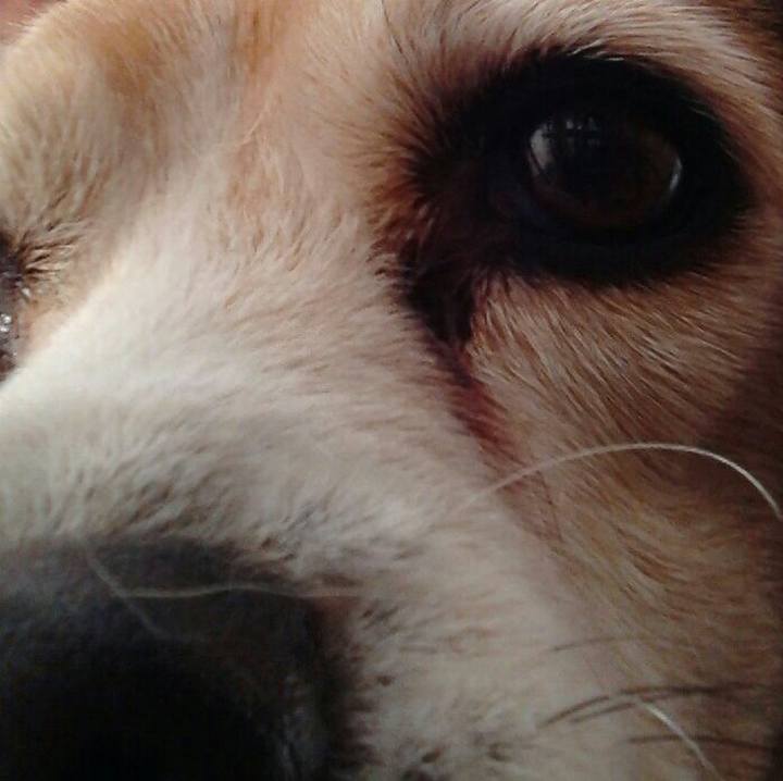 387567b9 c266 4b23 81d7 3d2e5d89de55