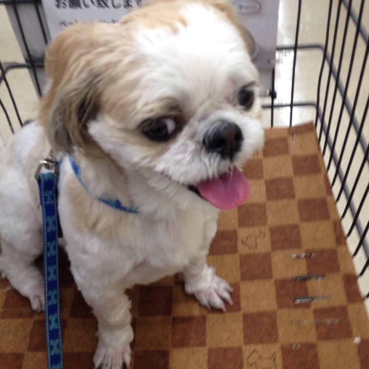 38764ef4 cba0 4c00 8e3b e229a77fedc0