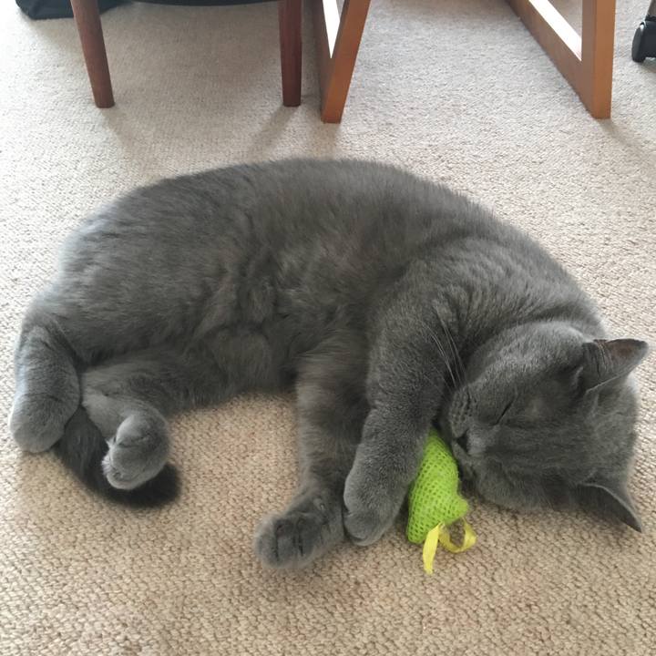 3876685d 4bbf 4e11 abda d7828256fef3