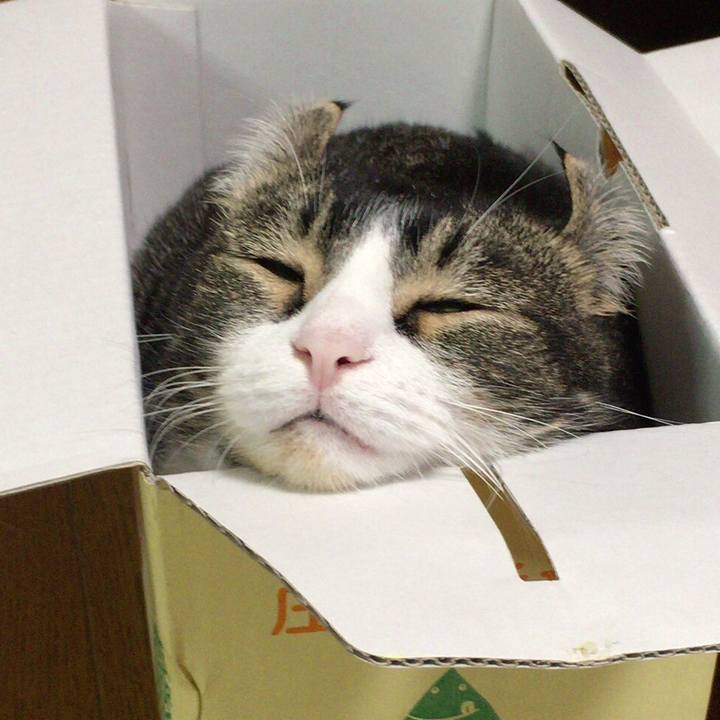 38770ef4 9e81 4b6f b085 280790515674