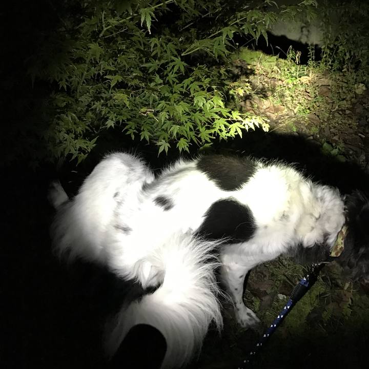 38775858 db80 4566 b685 5afd3b3bb3e9