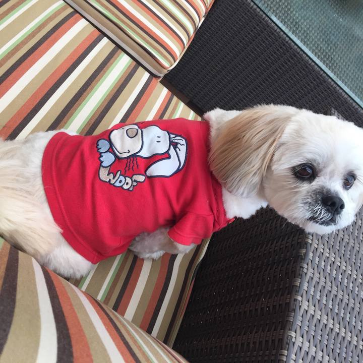 38781495 9116 482e 8153 0d19ce12de5f