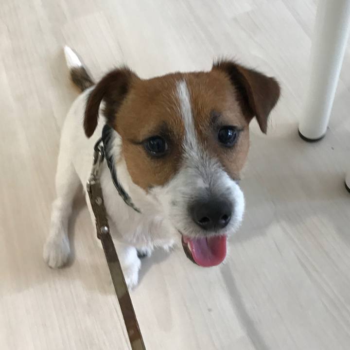 387856f8 84db 4fa0 8daf 5c2f271957a9