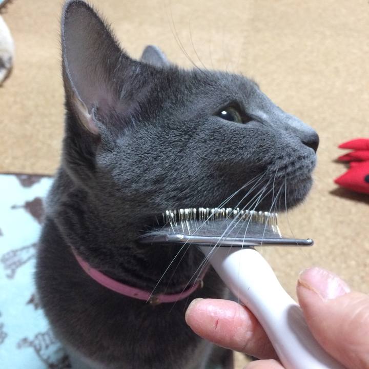 3879d3e1 73e4 442f 8255 01fb8ecc6331