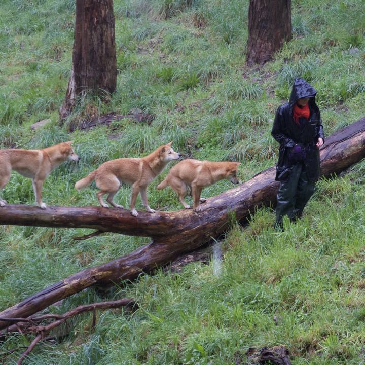 387a1084 a5f6 433a b162 5a917dac9979