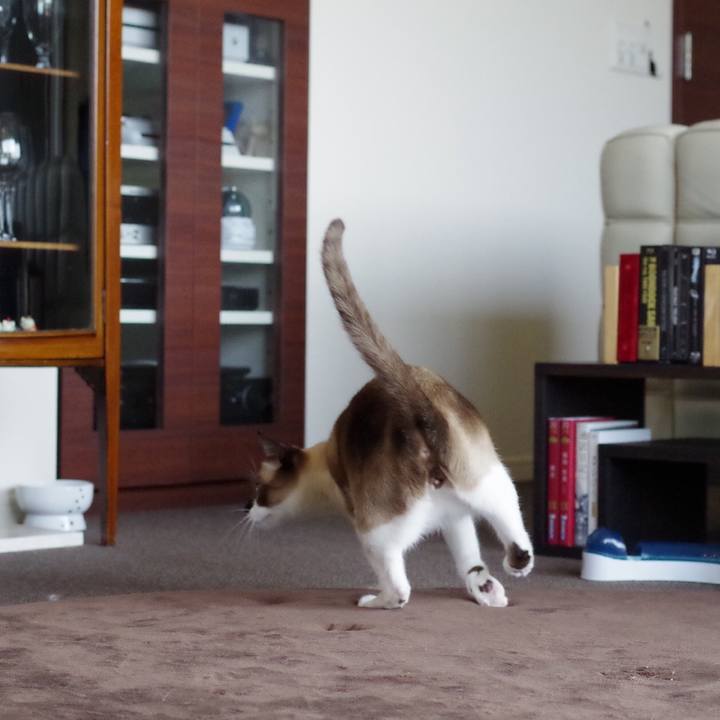 387a24f5 d3ce 48dd 9093 a0bbc6072d42