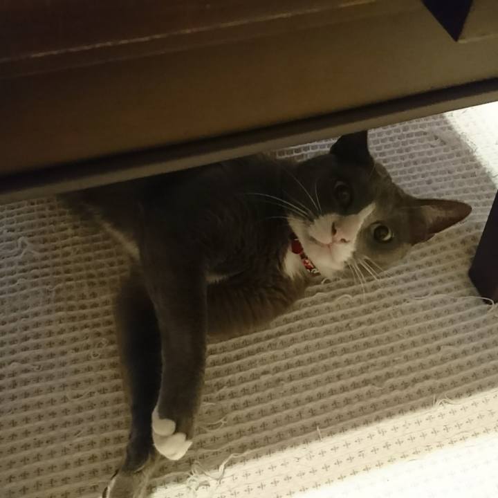 387a7694 0cb2 4c62 a8aa dadf7e0e66e1