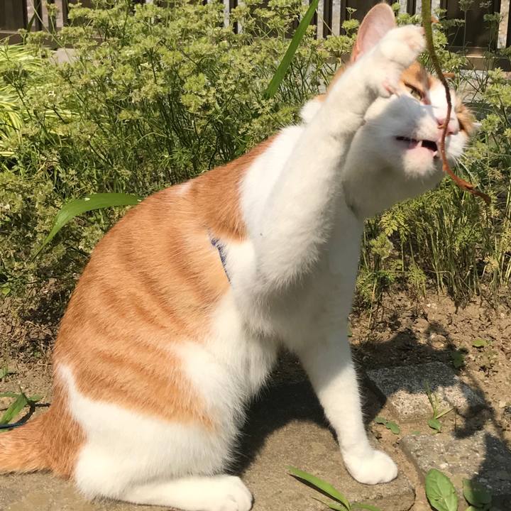 387ab77f 8c7b 46b8 b968 7eacc485153a