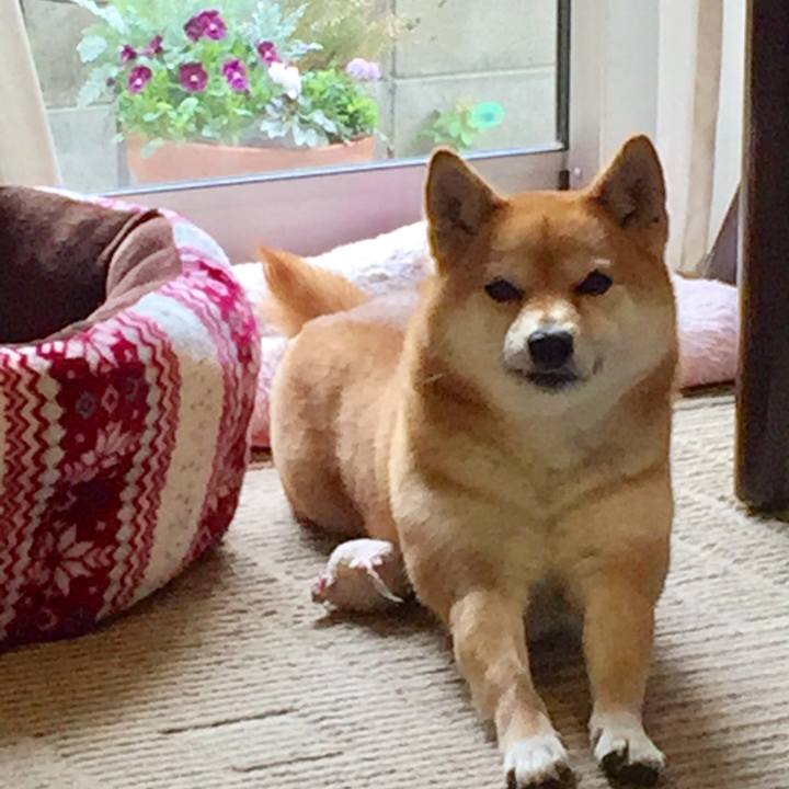 387c6dd2 efa2 4342 ab59 4965a15cfddd