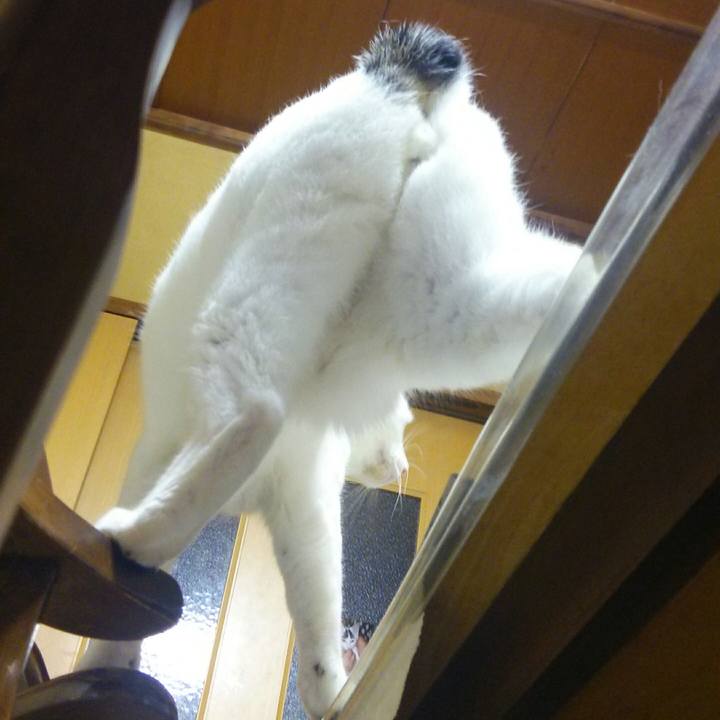 387d5d00 9243 4b25 b883 37e344d8cca0