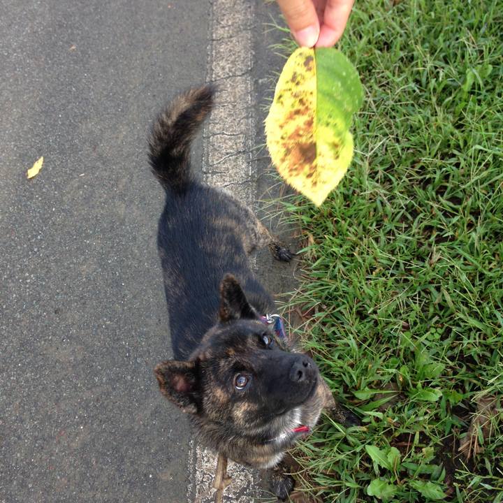 387de75a b1dd 4aa7 a5ab 67982a70bdfa