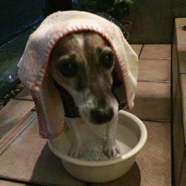 387e008b 66ee 4add 9e03 90d8ebf7fddb