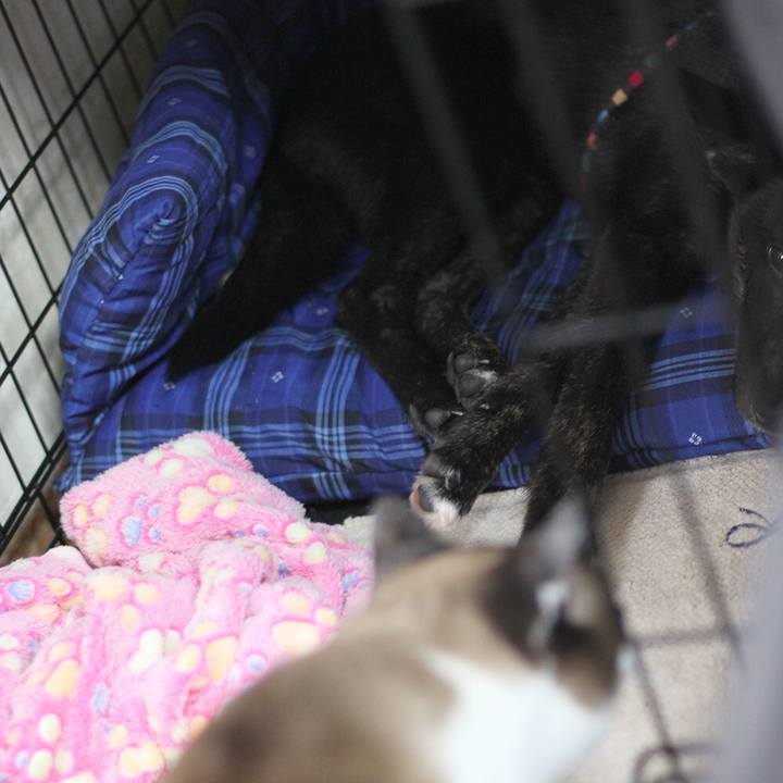 3880453c 608d 498a 8c37 da8a23bae97e