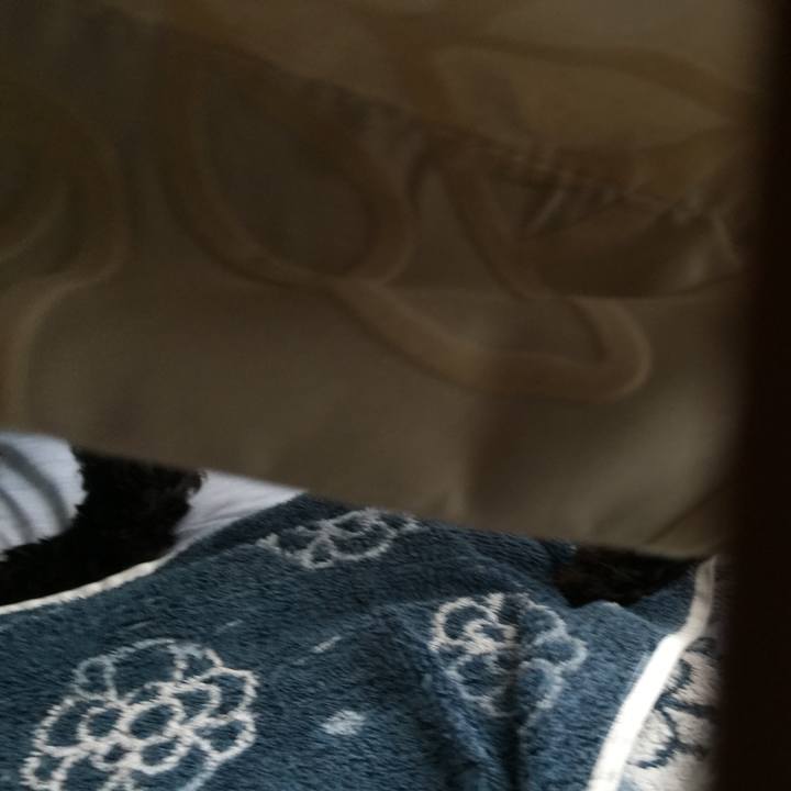 38807f74 5c4b 4ef7 b7f4 d971836bd4fc