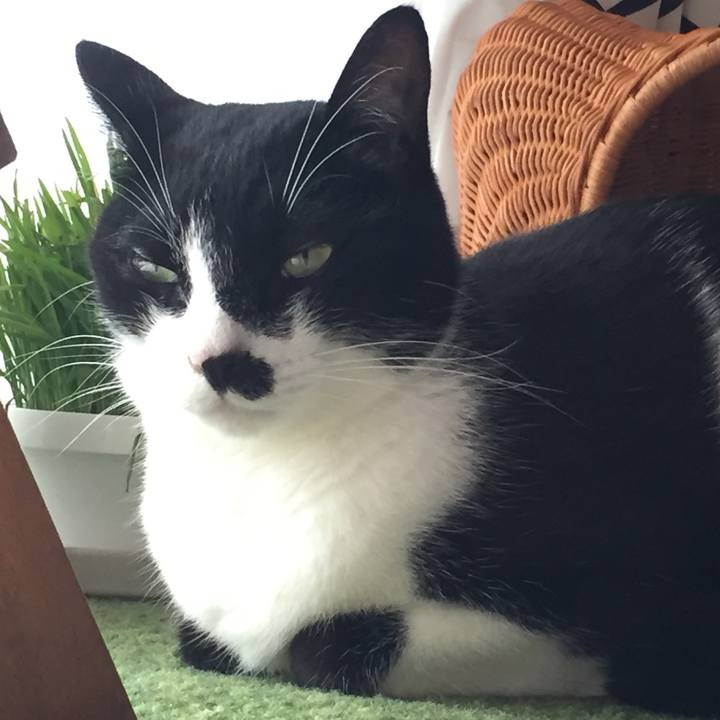 3880d1b5 58a6 452c 97b4 ba724379f865