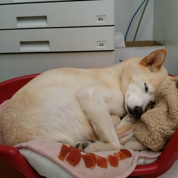 3880fe79 39ab 4147 bc96 b69f6fa54838