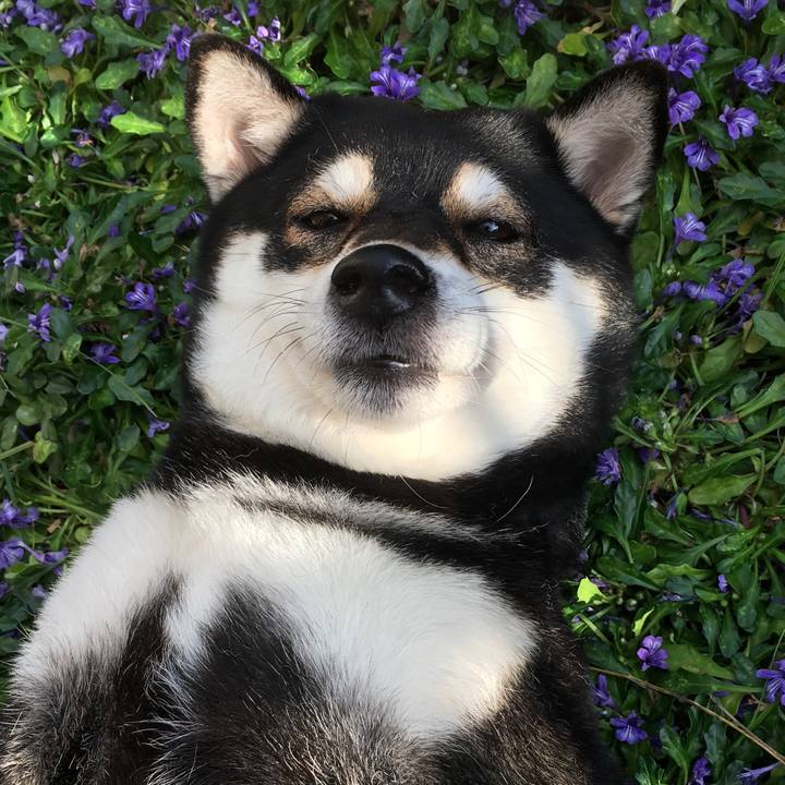 388139d5 8095 419c b873 2cd711256c67