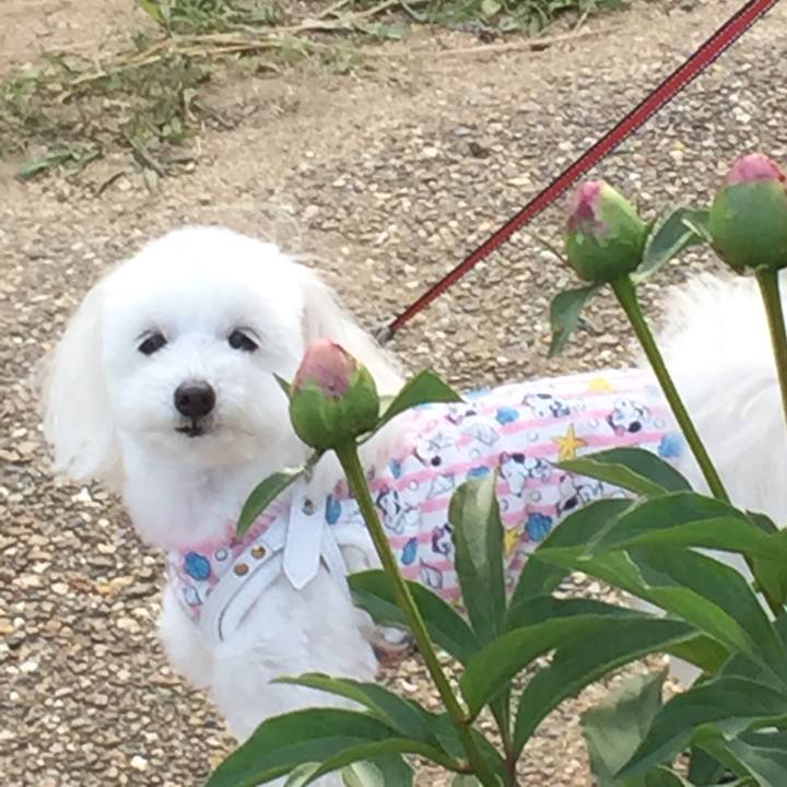 388241b2 951f 484e af80 d64656298a52