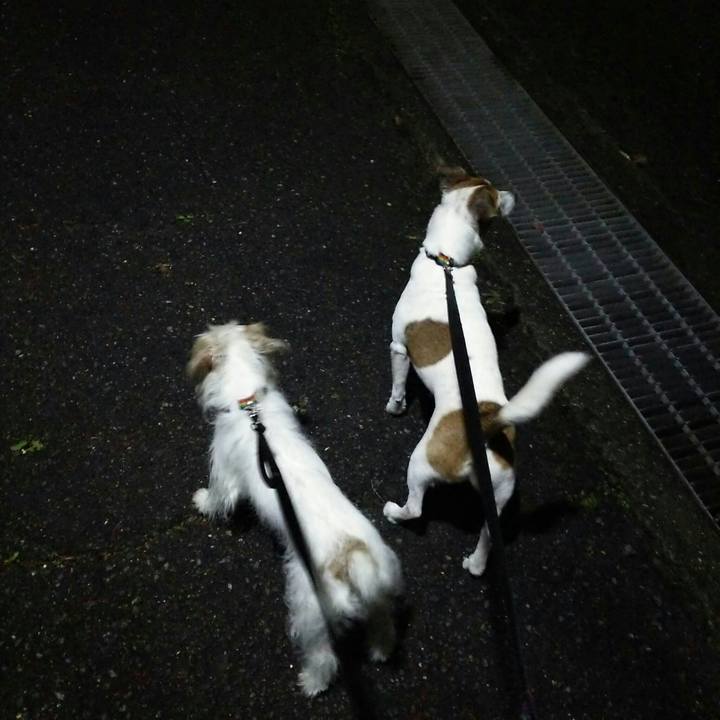 3882a1a0 52cf 458a add5 7bb4cf80e90e