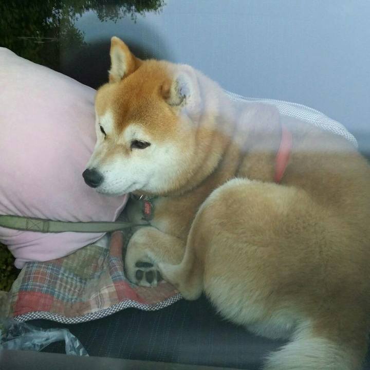 3882afaa 72b7 44b6 9070 99d79ca3696a