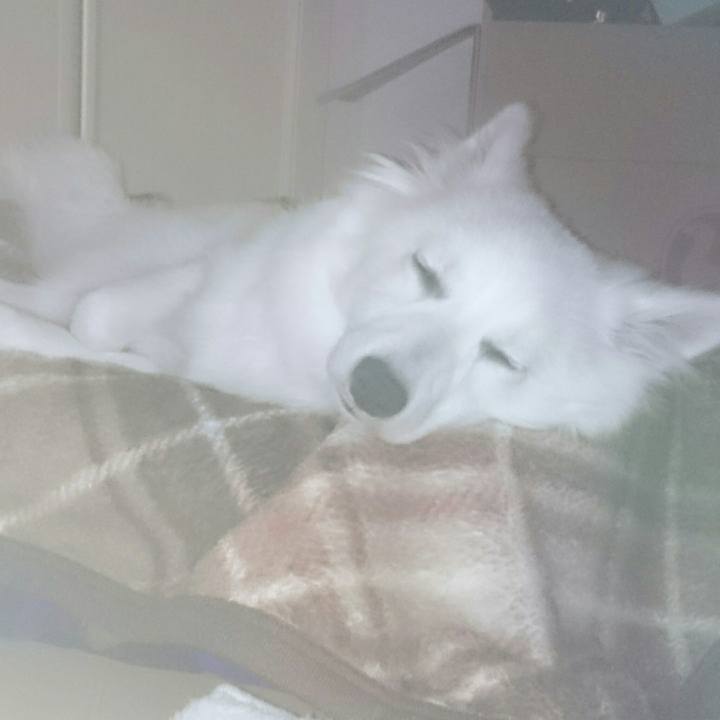 3882c256 c122 4075 973f 0857789ba8d8