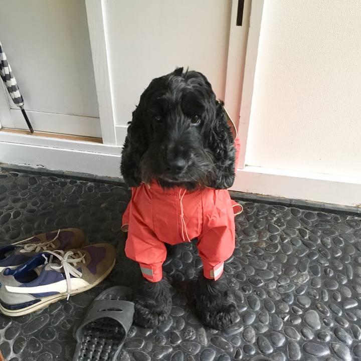 38836a31 cd43 4e21 b5e9 ee429b26d578