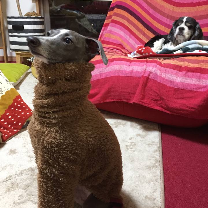 388416f5 0285 4141 b8be 36d54af6390d