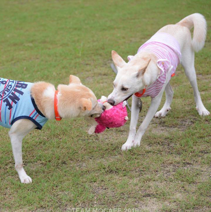 3884a2d5 21c8 46e1 a1cf 5af8772f8c17