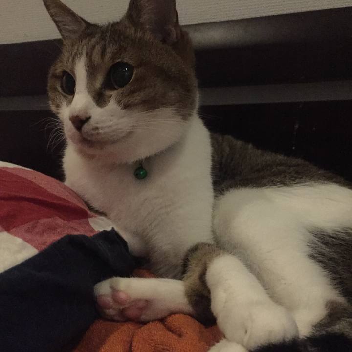 3885a56e 4279 4b35 9214 a58de8f0b1a7