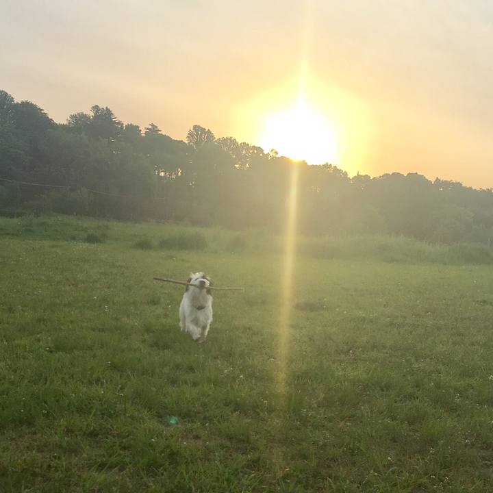 38867a9e dd73 4154 8161 00f0917cd75e